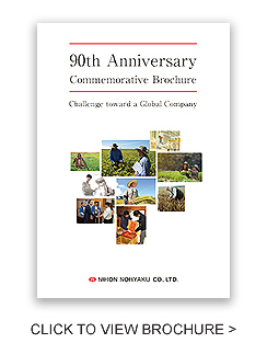 90th Anniversary Brochure Button